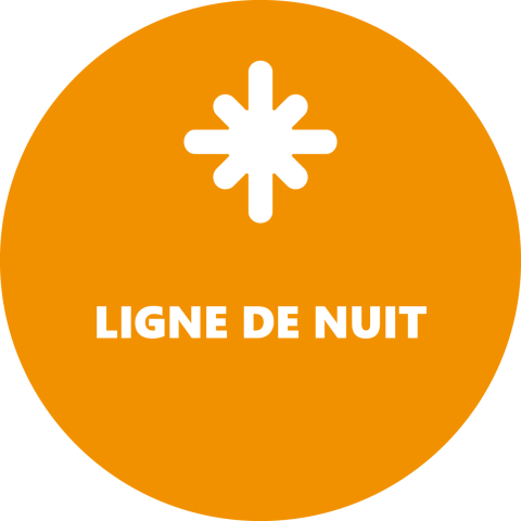 navette alpes dhuez_Ligne Nuit