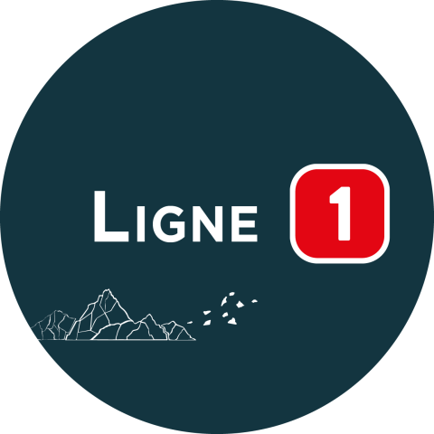 L1