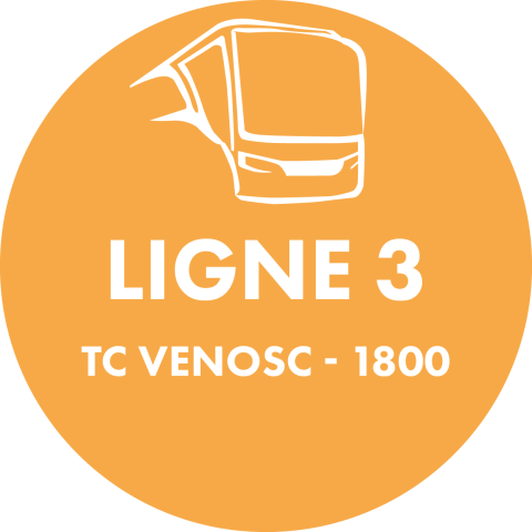 Pastille navette 2A_L (3)